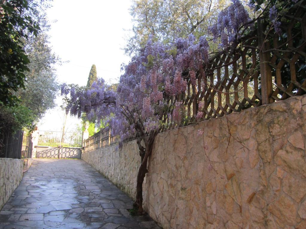 Al Calcandola *